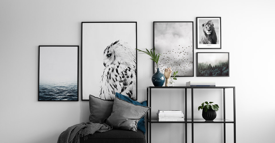 posters-photography